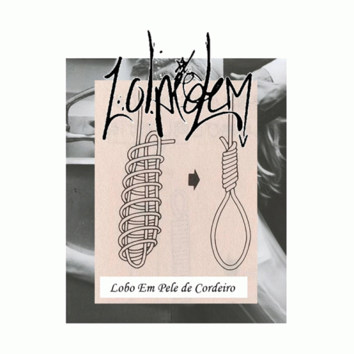 Zolpidem : Lobo Em Pele de Cordeiro